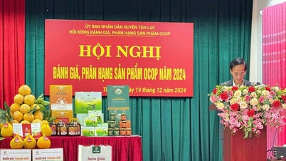 Hoa Binh៖ Tan Lac ទម្លាយនូវផលិតផល OCOP ធម្មតាចំនួន ៨
