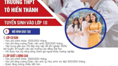 The school 'illegally enrolled' 174 10th grade students, what did the Hanoi Department of Education and Training say?