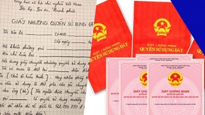 Procedures for granting red books for land purchased with handwritten papers in 2023