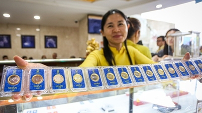 Giá vàng nhẫn tăng mạnh, USD tự do tiến sát mốc 26.000 đồng