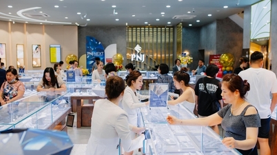 PNJ ឬ Hau Giang Pharmaceutical រាយការណ៍ពីប្រាក់ចំណេញ