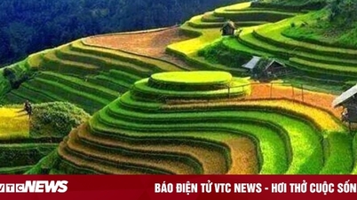 Tỉnh thành nào dân cư thưa thớt nhất Việt Nam?