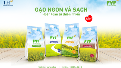 TẬP ĐOÀN TH RA MẮT BỘ SẢN PHẨM GẠO THƯƠNG HIỆU FVF – GẠO NGON &amp; SẠCH, HOÀN TOÀN TỪ THIÊN NHIÊN