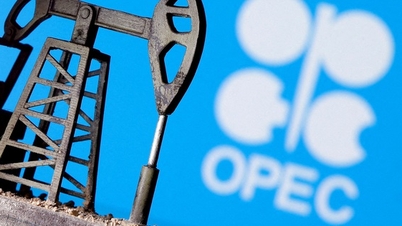 OPEC lại giảm triển vọng nhu cầu dầu thế giới