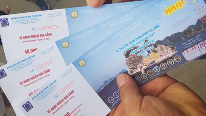 2 cruise ports in Ha Long are preparing to increase service prices