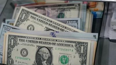 Giá ngoại tệ ngày 13/11/2024: USD tiếp tục đà tăng mạnh