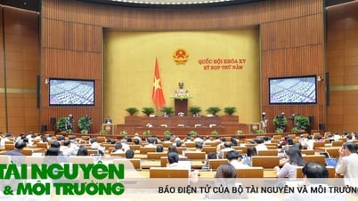Đảm bảo tính khả thi, thống nhất và đồng bộ giữa Luật Đất đai (sửa đổi) và Luật Đấu thầu (sửa đổi)