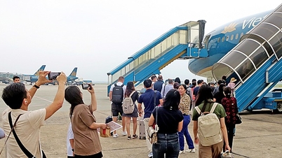 Hành khách than trời về giá vé, hàng không vẫn lên kế hoạch lãi lớn