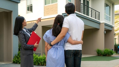 There are guidelines on the training framework program, fostering real estate brokerage knowledge.