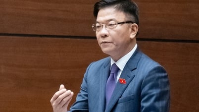 Deputy Prime Minister explains why advertising notary services is banned