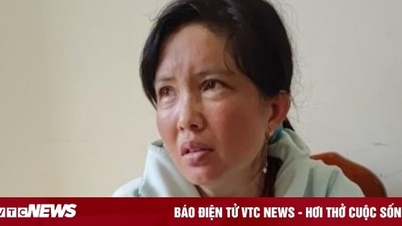 Female maid stole property worth 1.1 billion VND from gold shop owner in Ho Chi Minh City