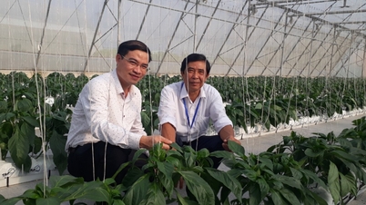 គំរូ​ដាំ​ដុះ​ព្រៃឈើ​របស់​លោក បាវ