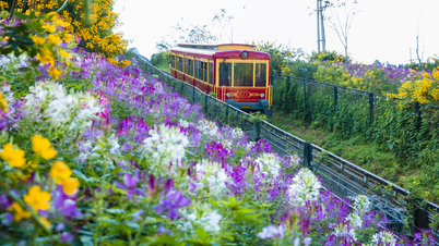 What do you know about the Muong Hoa mountain train in Sapa?