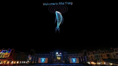 Khánh Hòa nhận 2 kỷ lục Guinness thế giới trong sự kiện EGN 2024