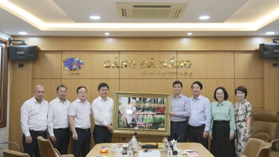 สหายโง ดุย ฮิว รองประธานสมาพันธ์แรงงานเวียดนามเยี่ยมชมและปฏิบัติงานที่ท่าเรือดานัง