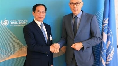 Bộ trưởng Bùi Thanh Sơn gặp Cao ủy Nhân quyền Liên hợp quốc Volker Turk