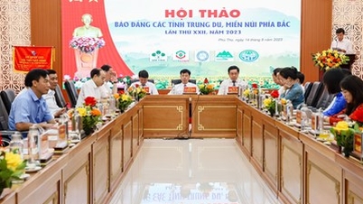 សារព័ត៌មានបក្សក្នុងស្រុក សហការយ៉ាងសកម្មក្នុងការផ្សព្វផ្សាយ និងជំរុញការអភិវឌ្ឍន៍ទេសចរណ៍។