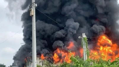 Fire at 2,000m2 factory in Binh Duong