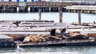 Where I come from, San Francisco