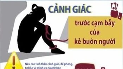 ビンズオン省：人身売買事件を緊急に捜査
