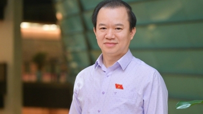 នាំភូវៀតណាមទៅកាន់ពិភពលោក
