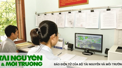 Làm nghề để biết thương nghề nhiều hơn
