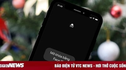 Cách bật tính năng duyệt web riêng tư trên iPhone chỉ với vài thao tác