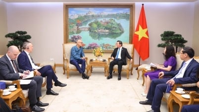 Promoting cooperation in renewable energy development between Vietnam, the Netherlands and the United States