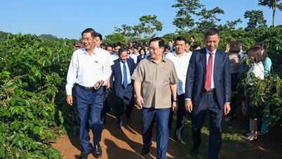 [Ảnh] Chủ tịch Quốc hội Vương Đình Huệ thăm vùng trồng cà-phê Sơn La