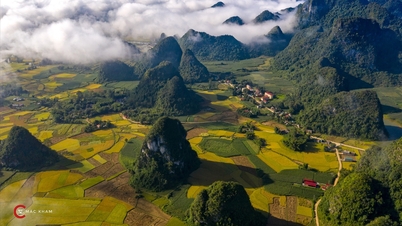 Majestätische und poetische Schönheit in Trung Khanh, Cao Bang