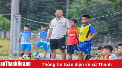 Những lưu ý về hồ sơ VĐV tham gia Giải Bóng đá Nhi đồng Cúp Báo Thanh Hoá 2023