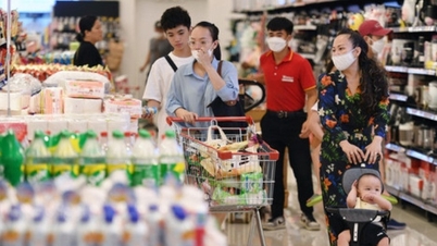 Bản tin kinh tế 18/12: EVN muốn nhập điện gió từ Lào; sửa Luật Thuế VAT