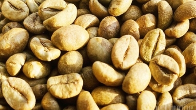 Scarcity of supply recurs, coffee prices plummet at the end of the week?