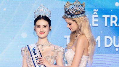រំជួលចិត្តពេក កញ្ញា Ý Nhi បាត់បង់ស្មារតី ហើយនិយាយភាសាអង់គ្លេសខូច។