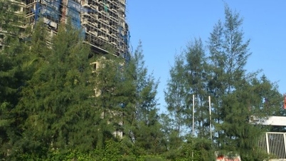 Sở TN&MT Quảng Bình chỉ ra những vi phạm của doanh nghiệp thuê đất