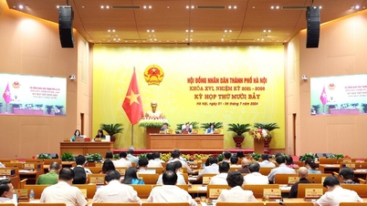 Today, the City People's Council questioned the implementation of discipline and administrative discipline.
