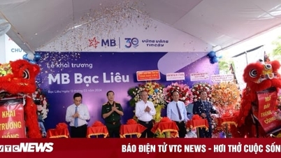 MB khai trương chi nhánh Bạc Liêu