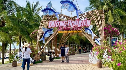La rue des fleurs de Da Nang prend forme, les touristes sont ravis
