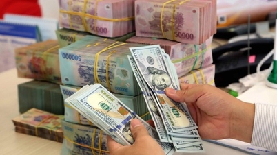 Remittances from Ho Chi Minh City account for more than 55% of the country.