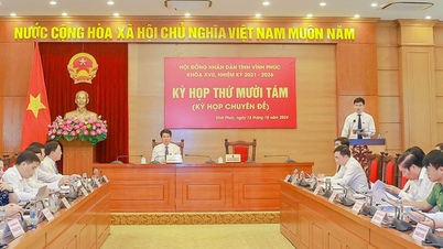 Vinh Phuc លើកលែងថ្លៃសិក្សាសម្រាប់ឆ្នាំសិក្សា 2024