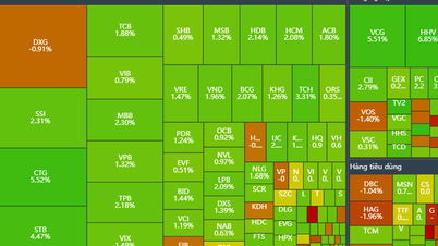 Der VN-Index stieg um mehr als 13 Punkte, öffentliche Investitionen und Energieaktien erreichten die Obergrenze