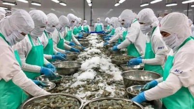 Xuất khẩu thủy sản thu về 3,6 tỷ USD