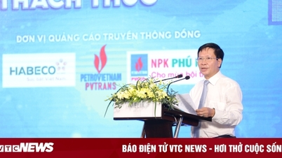 Ngoài nội lực, cần sự hỗ trợ của chuyên gia