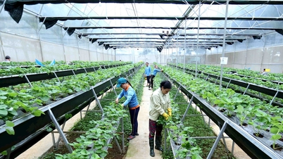Xây dựng hợp tác xã hướng tới mục tiêu cộng đồng