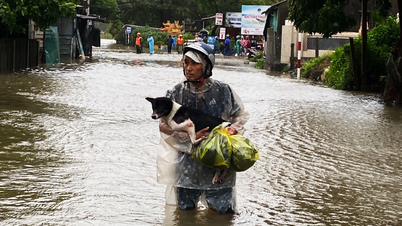 Nước biển tràn bờ gây ngập, người dân Huế ôm thú cưng hối hả chạy lũ