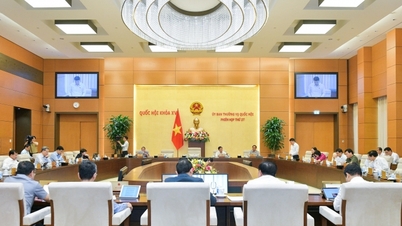 Tháo gỡ vướng mắc cho các địa phương đẩy nhanh tiến độ thực hiện các Chương trình mục tiêu quốc gia