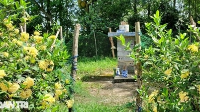 Chuyện lạ ở nơi "mở cửa lên trời" gần 500 năm trước