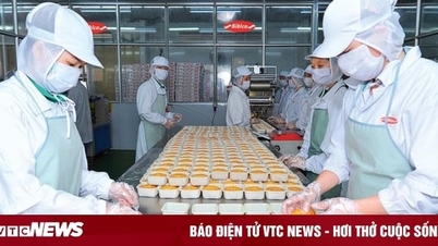 Giá đường cao kỷ lục, doanh nghiệp Việt chịu 'cú đấm bồi' giữa cao điểm cuối năm