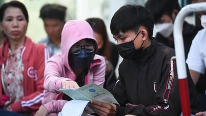 젊은 근로자들이 사회보험을 한꺼번에 철회하는 경우가 많은 이유는 무엇입니까?