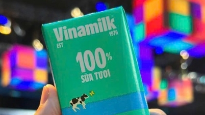 비나밀크, 배당금으로 5조1000억 VND 지출
